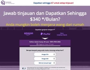 Surveoo · Complete a survey · BN (BN), Surveys, Incentive