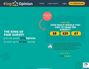 KingOpinion · NL (Incent), Surveys